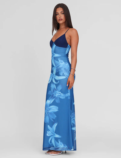 Alaina maxi dress